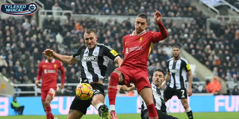 Tỷ Lệ Kèo Liverpool Vs Newcastle Hôm Nay Ngày 01/02/2026 - Ngoại Hạng Anh 1 Thông tin, phong độ mới nhất Liverpool vs Newcastle