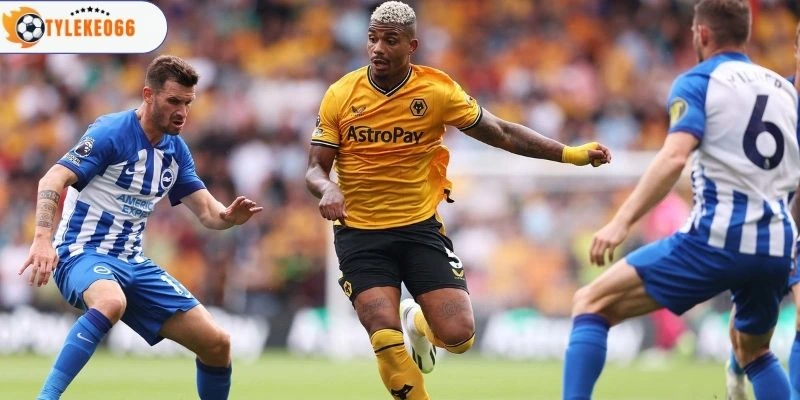 Soi Kèo Nhà Cái Brighton Vs Wolves Hôm Nay Ngày 09/05/2026 - NHA 1 Góc nhìn trước trận Brighton vs Wolves